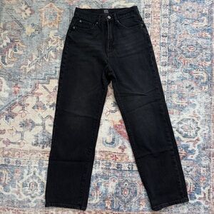 Urban Outfitters BDG Cowboy Stretch Jean